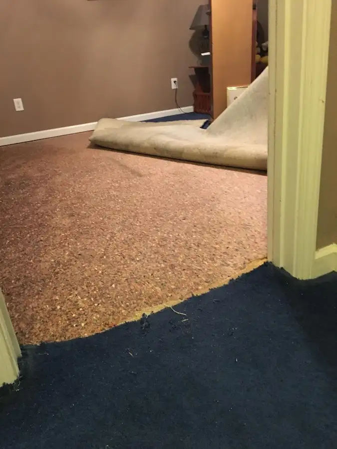 Carpet pad removal revealing water damage during Drying & Dehumidification in Gladeview