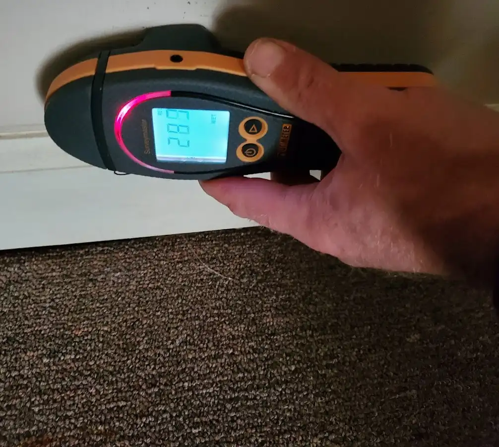 Moisture detection at baseboard during Mold Inspection & Testing in Gladeview