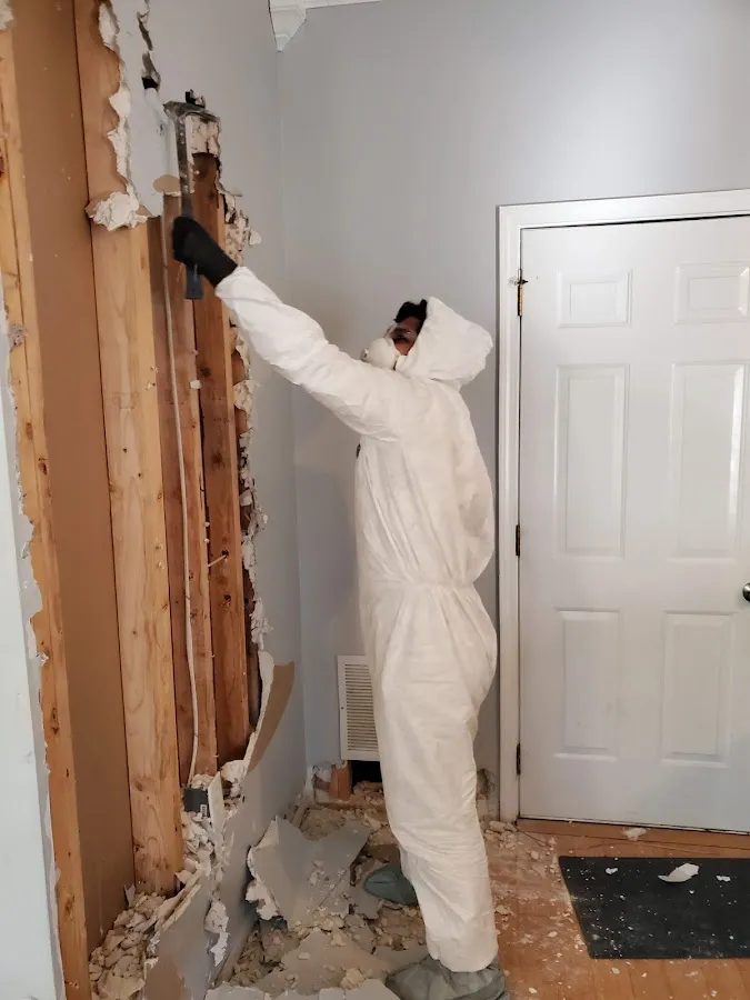 Mold Inspection & Testing in Gladeview, FL